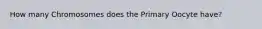 How many Chromosomes does the Primary Oocyte have?