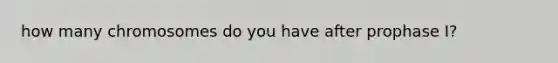 how many chromosomes do you have after prophase I?