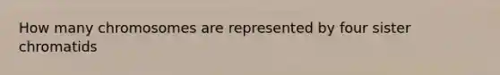 How many chromosomes are represented by four sister chromatids