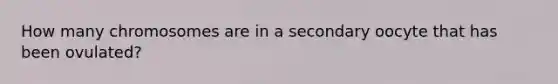 How many chromosomes are in a secondary oocyte that has been ovulated?