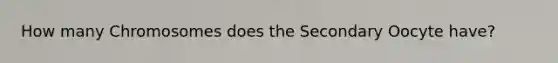 How many Chromosomes does the Secondary Oocyte have?