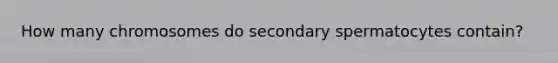 How many chromosomes do secondary spermatocytes contain?