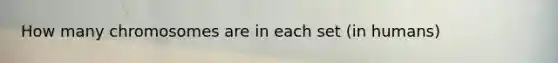 How many chromosomes are in each set (in humans)