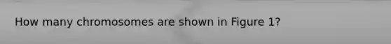 How many chromosomes are shown in Figure 1?