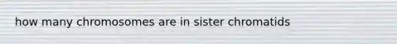 how many chromosomes are in sister chromatids