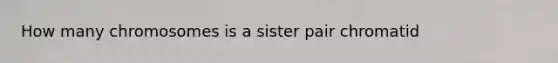 How many chromosomes is a sister pair chromatid