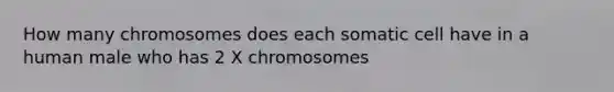 How many chromosomes does each somatic cell have in a human male who has 2 X chromosomes