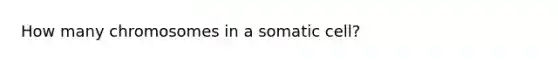 How many chromosomes in a somatic cell?