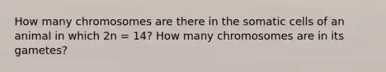 How many chromosomes are there in the somatic cells of an animal in which 2n = 14? How many chromosomes are in its gametes?