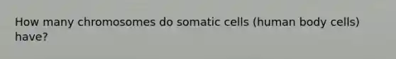 How many chromosomes do somatic cells (human body cells) have?