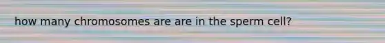 how many chromosomes are are in the sperm cell?