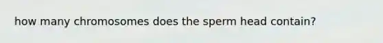 how many chromosomes does the sperm head contain?