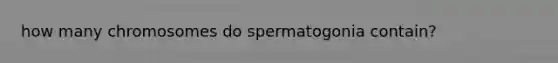 how many chromosomes do spermatogonia contain?