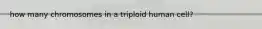 how many chromosomes in a triploid human cell?