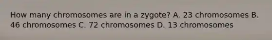 How many chromosomes are in a zygote? A. 23 chromosomes B. 46 chromosomes C. 72 chromosomes D. 13 chromosomes