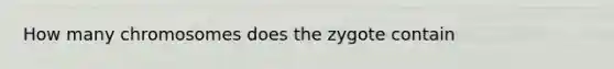 How many chromosomes does the zygote contain