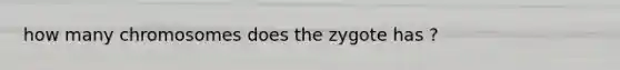 how many chromosomes does the zygote has ?