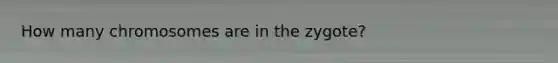 How many chromosomes are in the zygote?