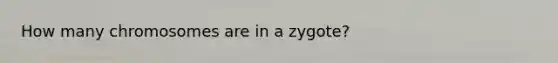 How many chromosomes are in a zygote?