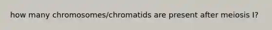 how many chromosomes/chromatids are present after meiosis I?