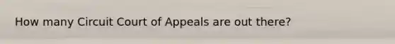 How many Circuit Court of Appeals are out there?