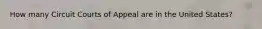 How many Circuit Courts of Appeal are in the United States?