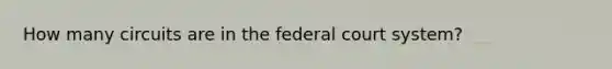 How many circuits are in the federal court system?