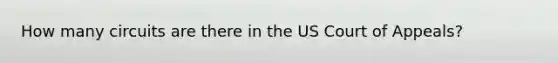 How many circuits are there in the US Court of Appeals?