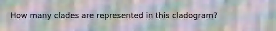 How many clades are represented in this cladogram?