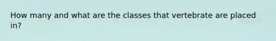 How many and what are the classes that vertebrate are placed in?