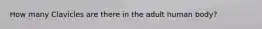 How many Clavicles are there in the adult human body?
