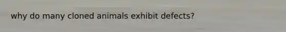 why do many cloned animals exhibit defects?