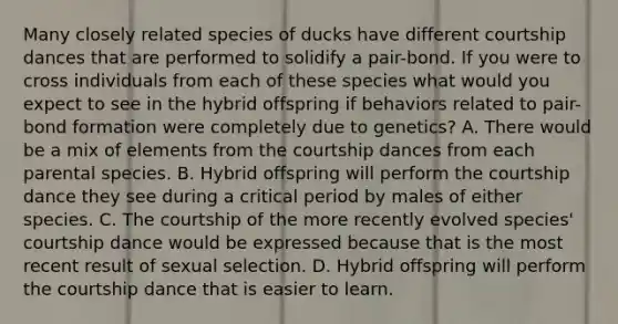 Many closely related species of ducks have different courtship dances that are performed to solidify a pair-bond. If you were to cross individuals from each of these species what would you expect to see in the hybrid offspring if behaviors related to pair-bond formation were completely due to genetics? A. There would be a mix of elements from the courtship dances from each parental species. B. Hybrid offspring will perform the courtship dance they see during a critical period by males of either species. C. The courtship of the more recently evolved species' courtship dance would be expressed because that is the most recent result of sexual selection. D. Hybrid offspring will perform the courtship dance that is easier to learn.