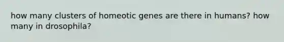 how many clusters of homeotic genes are there in humans? how many in drosophila?