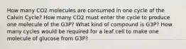 How many CO2 molecules are consumed in one cycle of the Calvin Cycle? How many CO2 must enter the cycle to produce one molecule of the G3P? What kind of compound is G3P? How many cycles would be required for a leaf cell to make one molecule of glucose from G3P?