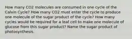 How many CO2 molecules are consumed in one cycle of the Calvin Cycle? How many CO2 must enter the cycle to produce one molecule of the sugar product of the cycle? How many cycles would be required for a leaf cell to make one molecule of glucose from this sugar product? Name the sugar product of photosynthesis.