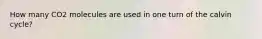 How many CO2 molecules are used in one turn of the calvin cycle?
