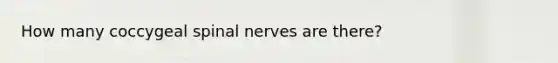 How many coccygeal <a href='https://www.questionai.com/knowledge/kyBL1dWgAx-spinal-nerves' class='anchor-knowledge'>spinal nerves</a> are there?