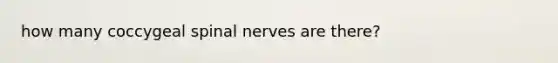 how many coccygeal spinal nerves are there?