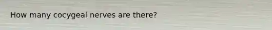 How many cocygeal nerves are there?