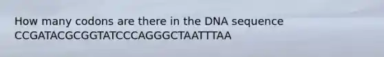 How many codons are there in the DNA sequence CCGATACGCGGTATCCCAGGGCTAATTTAA