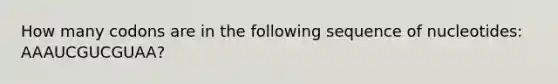 How many codons are in the following sequence of nucleotides: AAAUCGUCGUAA?