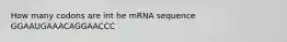 How many codons are int he mRNA sequence GGAAUGAAACAGGAACCC