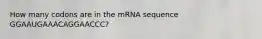 How many codons are in the mRNA sequence GGAAUGAAACAGGAACCC?