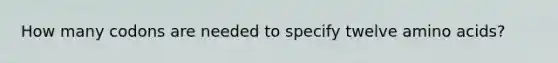 How many codons are needed to specify twelve amino acids?