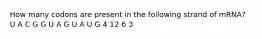 How many codons are present in the following strand of mRNA? U A C G G U A G U A U G 4 12 6 3