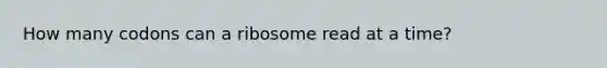 How many codons can a ribosome read at a time?