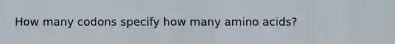 How many codons specify how many amino acids?