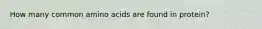 How many common amino acids are found in protein?
