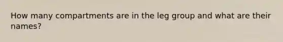 How many compartments are in the leg group and what are their names?
